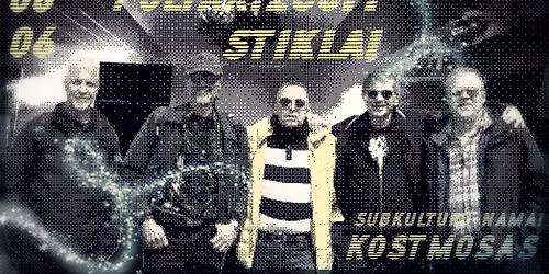 POLIARIZUOTI STIKLAI