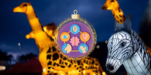 Sensory Evening - Pembrey Light Trail