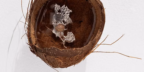 'Boring Earth: spontaneous gift' Exhibition Opening + Artist Talk