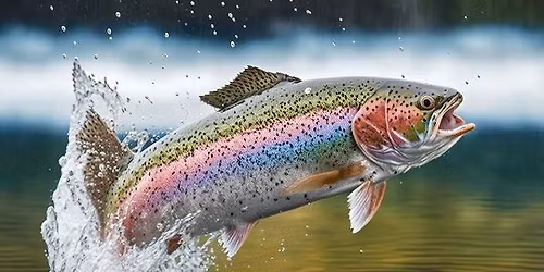 Mill Pond Free Children's Fishing Derby