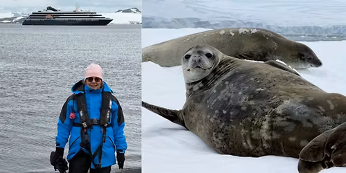 Armchair Travels: Antarctica