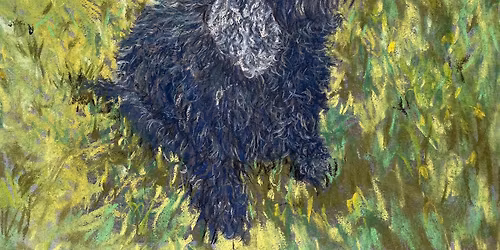 July 2026 Social & Competition Meeting 