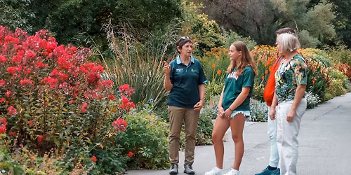 Botanic Gardens Guided Walks: November 2025