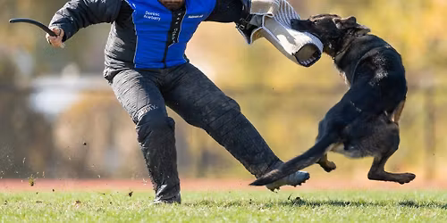 Dominic Scarberry Protection Workshop