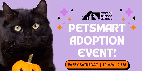 Adoption Event at PetSmart Fort Collins