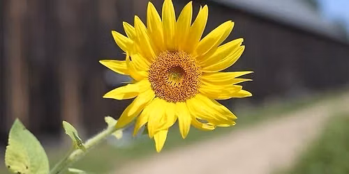 Southwick\u2019s 4th Annual Open Farm Day