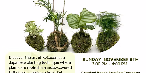 The Art of Kokedama