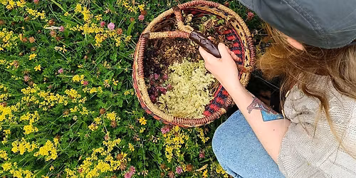 Gather Together -  Foraging Walk