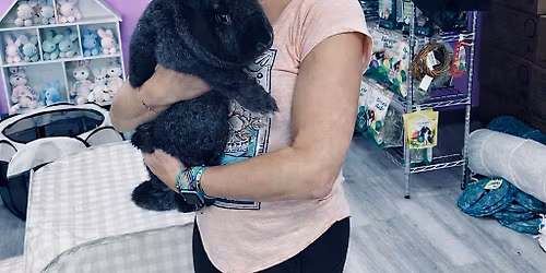 Hoppy Hour\/Bunny Yoga~ Friday, May 15 @6:00 at Dolly\u2019s Dream Rabbit Rescue