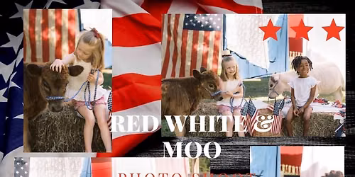 Red, White & Moo Photo Shoot