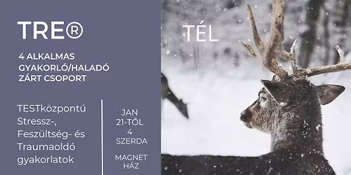 4 alkalmas TRE\u00ae halad\u00f3\/gyakorl\u00f3 csoport