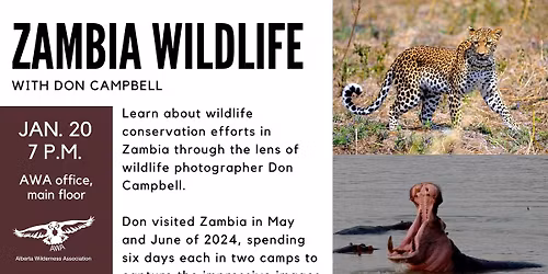 AWA Talk Night \u2013 Zambia Wildlife (hybrid)