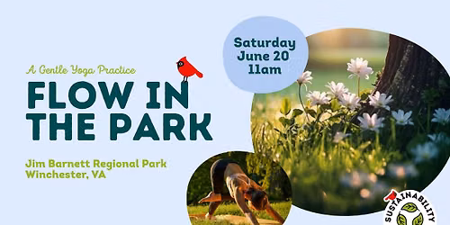 Flow in the Park 