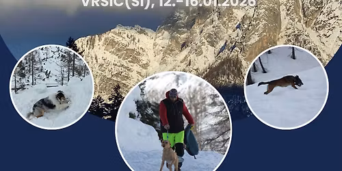 DVRPS AVALANCHE COURSE 2026 - 1.TERM