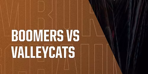 Schaumburg Boomers at Tri-City ValleyCats at Joseph L. Bruno Stadium