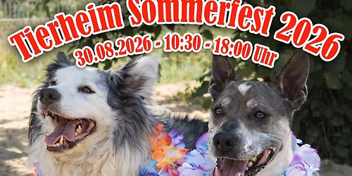 Tierheim Sommerfest 2026