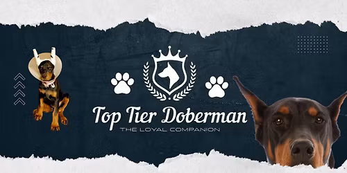 HUGE Pet Toy Liquidation Sale \u2014 Everything $1, $2 & $3!\n