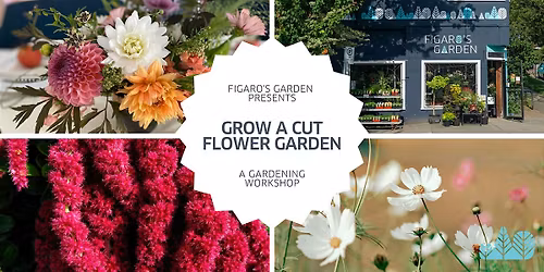 Grow a Cut Flower Garden