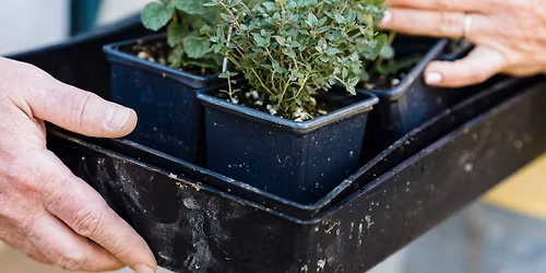 Plant & Seed Swap!