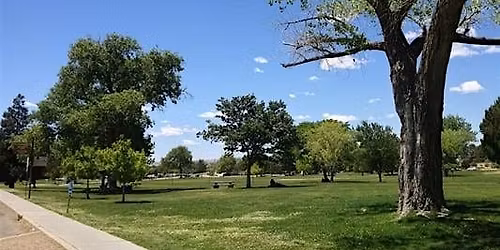 Tarot in the Park: Beginner Tarot Class & Practice Circle (Albuquerque)