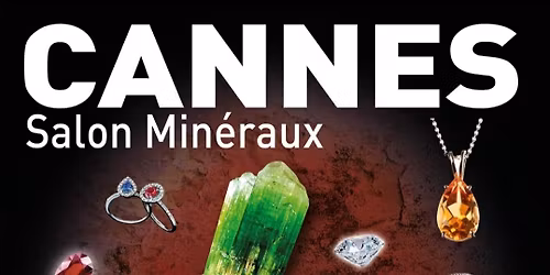 salon min\u00e9raux bijoux 