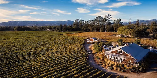 Plot Twists & Pinot: A Bookish Summer Afternoon in Sonoma