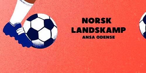 Landskamp p\u00e5 Ryan's