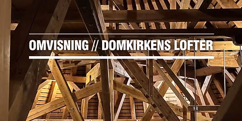 Omvisning p\u00e5 Domkirkens lofter
