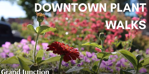 Downtown Plant Walk