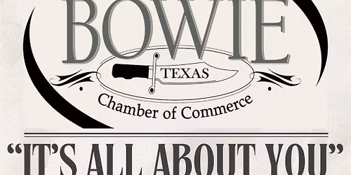 BowieVision - David Bowie Tribute