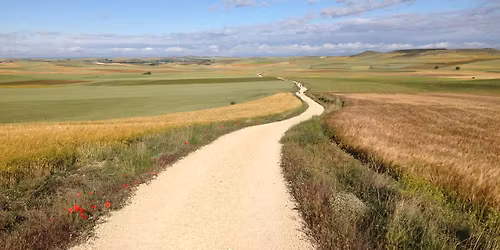 Camino de Santiago Walk 