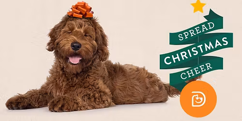 Paw-liday Ornament Workshop