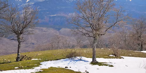 \u0421\u043c\u043e\u043b\u043d\u0438 \u0432\u0440\u044a\u0445 \u0432 \u041c\u0430\u043b\u0435\u0448\u0435\u0432\u0441\u043a\u0430 \u043f\u043b\u0430\u043d\u0438\u043d\u0430 \u0438 \u041a\u0440\u0435\u0441\u043d\u0435\u043d\u0441\u043a\u043e\u0442\u043e \u0434\u0435\u0444\u0438\u043b\u0435