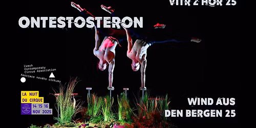 BoCirk: OnTestosterOn