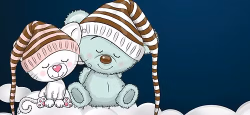 Stuffed Animal Sleepover