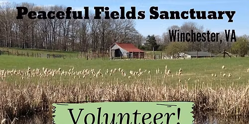 May Volunteer Day at Peaceful Fields Sanctuary