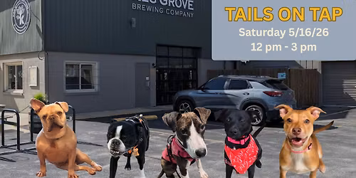 Tails on Tap