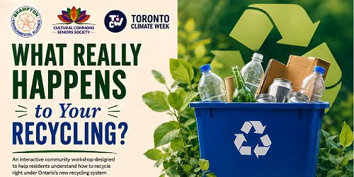 Beyond the Blue Box: What Really Happens to Your Recycling?