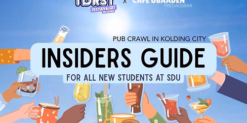 \ud83c\udf7b\ud83c\udf1f INSIDER'S GUIDE \ud83c\udf1f\ud83c\udf7b SDU Kolding