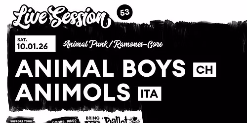 Live Session: Animal Boys & Animols