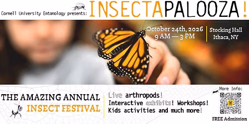 Insectapalooza 2026 — Family fun in Stocking Hall, Ithaca, NY 14853, United States · Ithaca, NY