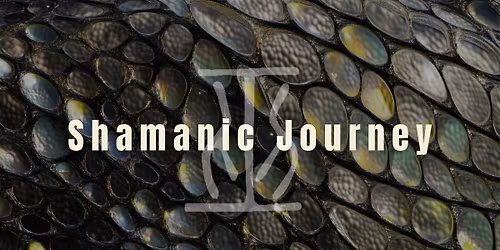 Shamanic Journey | Honouring What Was Shed & Receiving the Seed of 2026