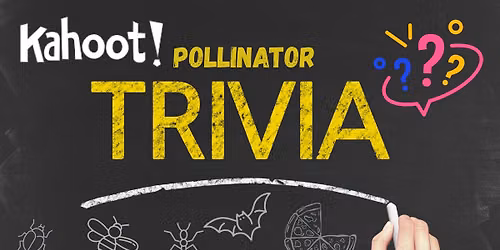 Pollinator Trivia Pizza Party