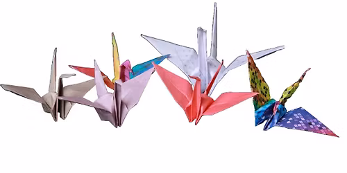 Art in Motion: An Origami Workshop
