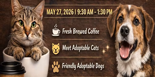 CAT CAF\u00c9 POP-UP \u2615\ud83d\udc3e