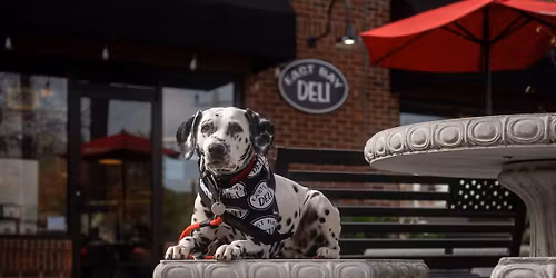 Pet Therapy & Craft Kids' Night!- West Columbia