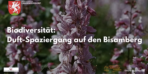 Biodiversit\u00e4t: Duft-Spaziergang auf den Bisamberg