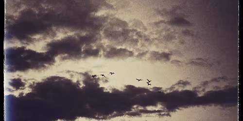 Samhain Ancestor Fire Journey Day & Ritual