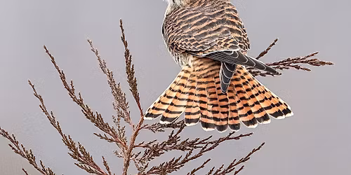 Lambton Wildlife- Annual General Meeting