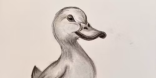 Duck in Rainboots - Charcoal